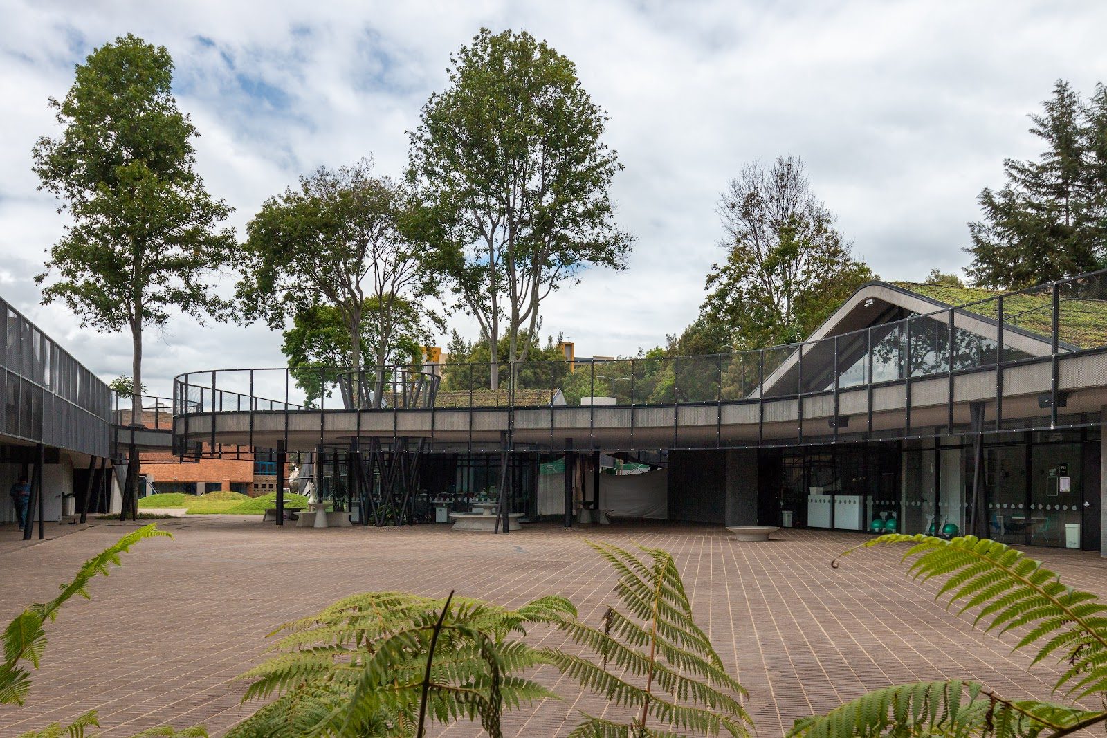 Gimnasio Campestre