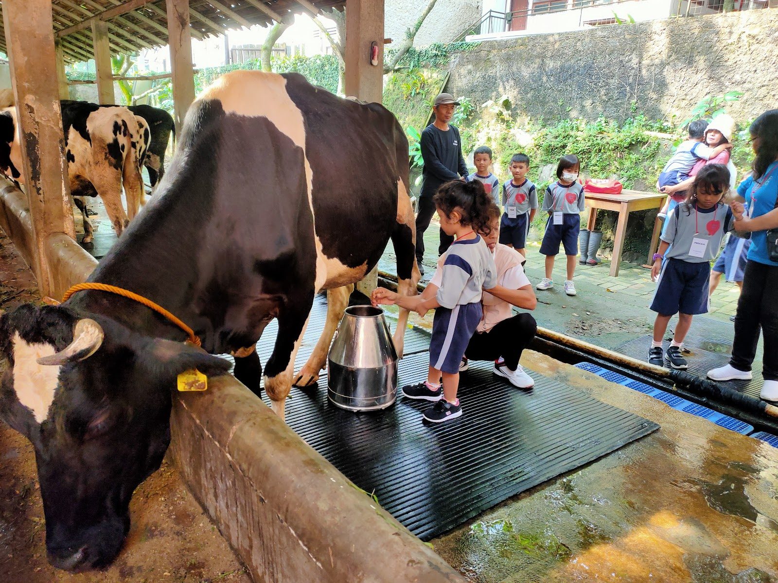 SMAK PENABUR Gading Serpong