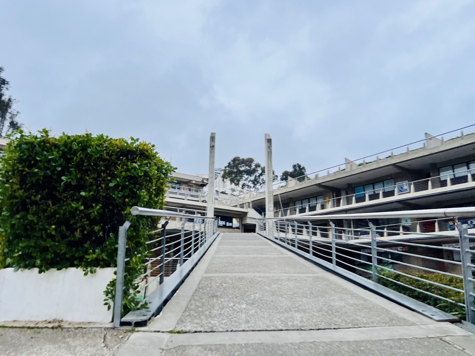 The Mackay School