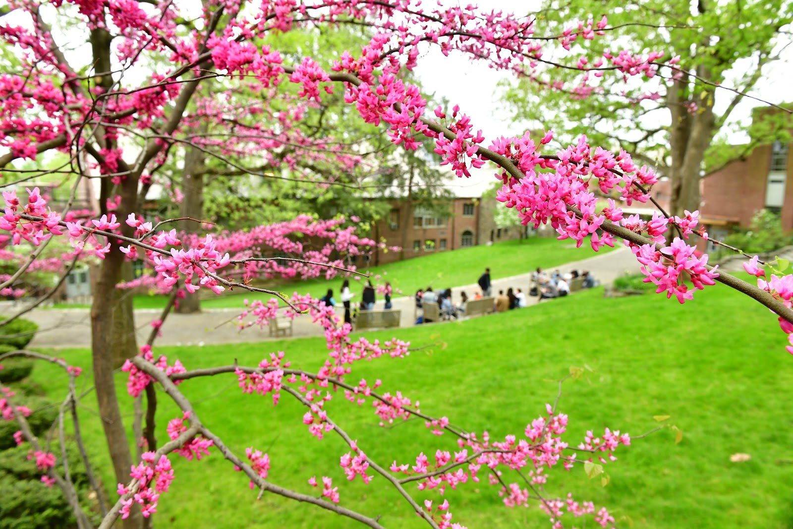 Ethical Culture Fieldston School