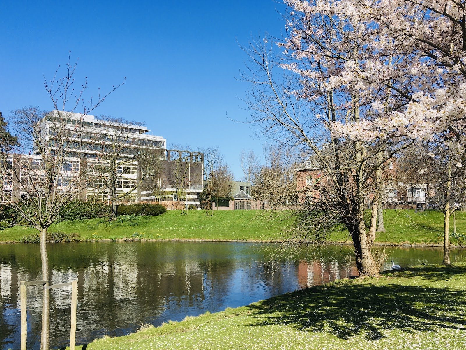 Gymnasium Sorghvliet