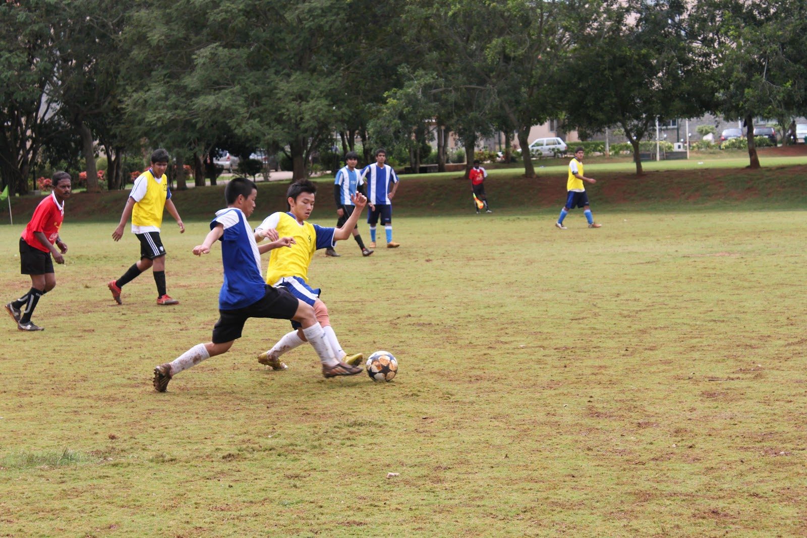 The International School Bangalore