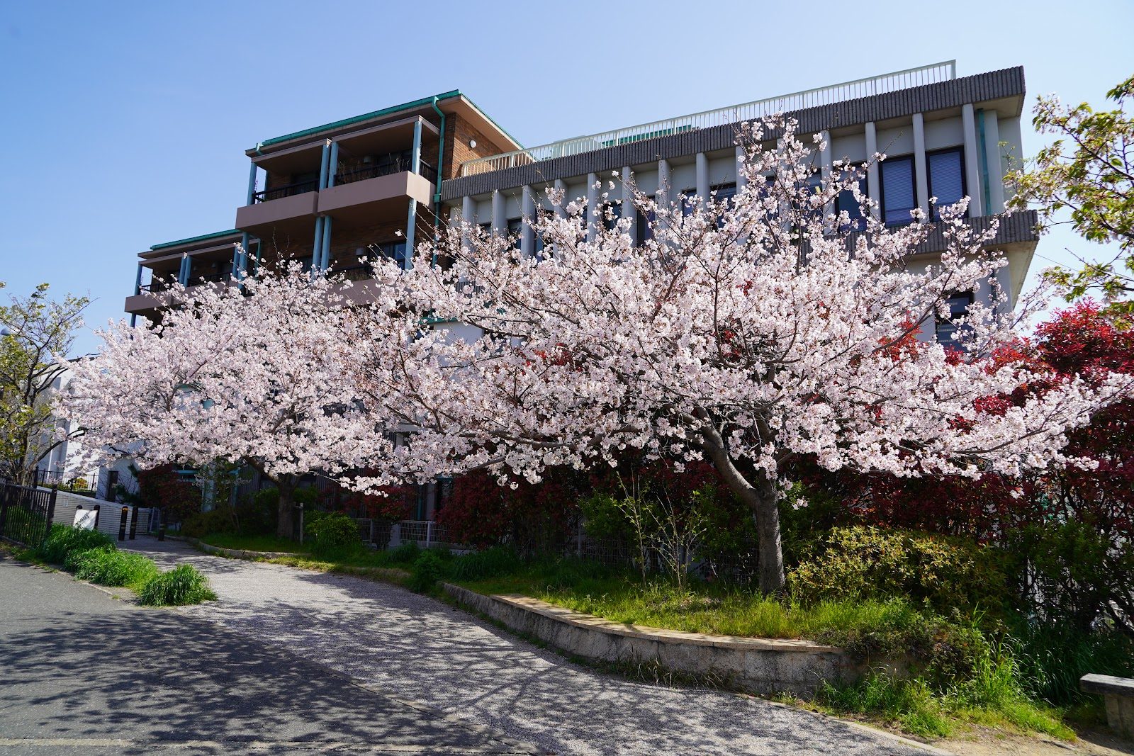 Fukuoka International School