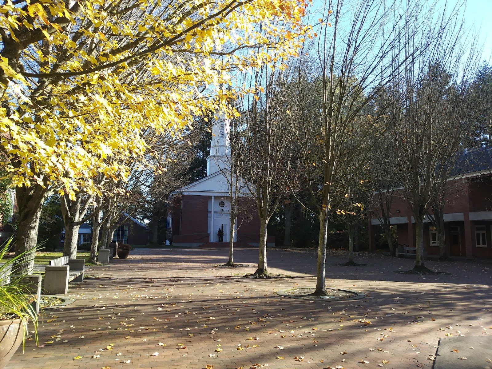 Lakeside School