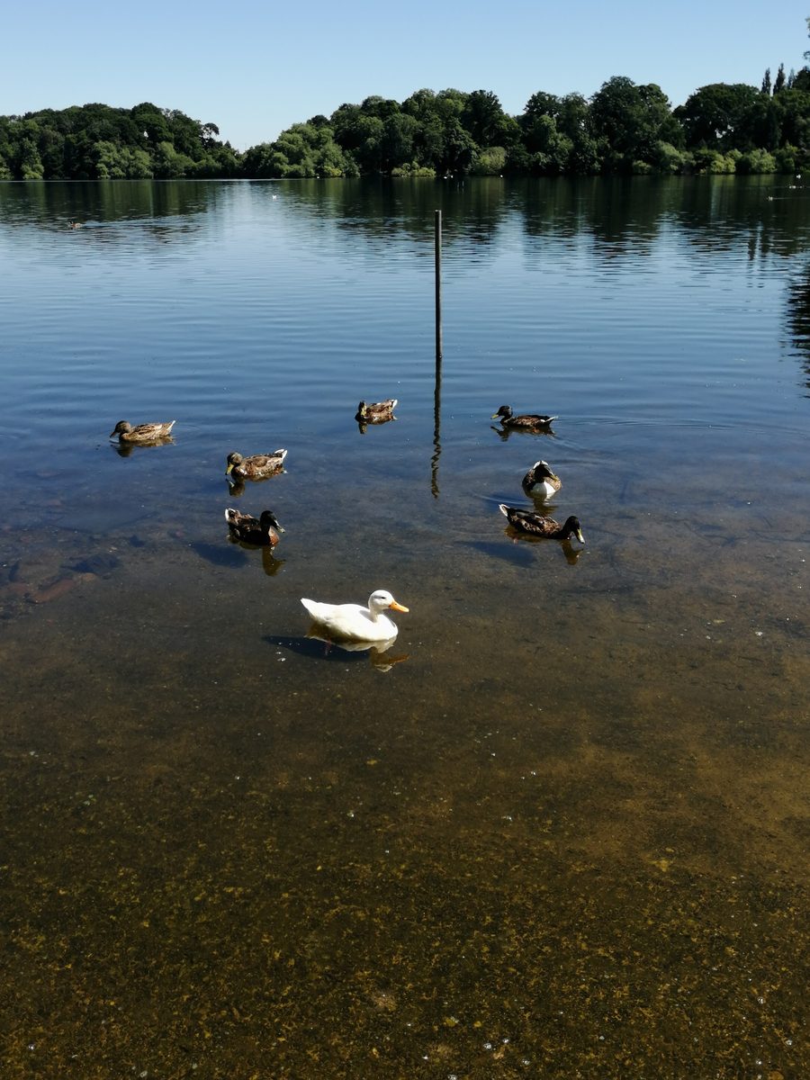 Ellesmere College