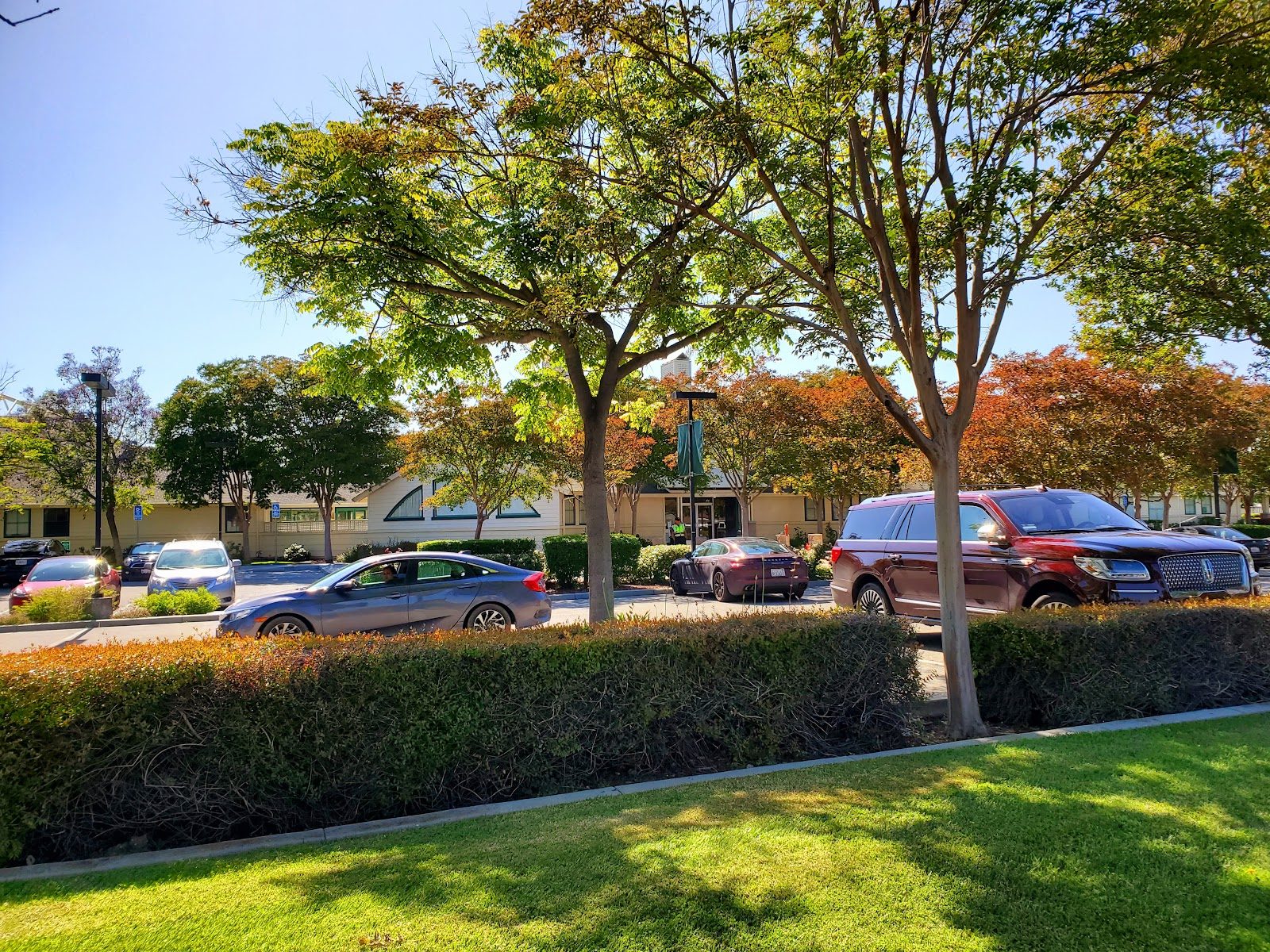 The Harker School