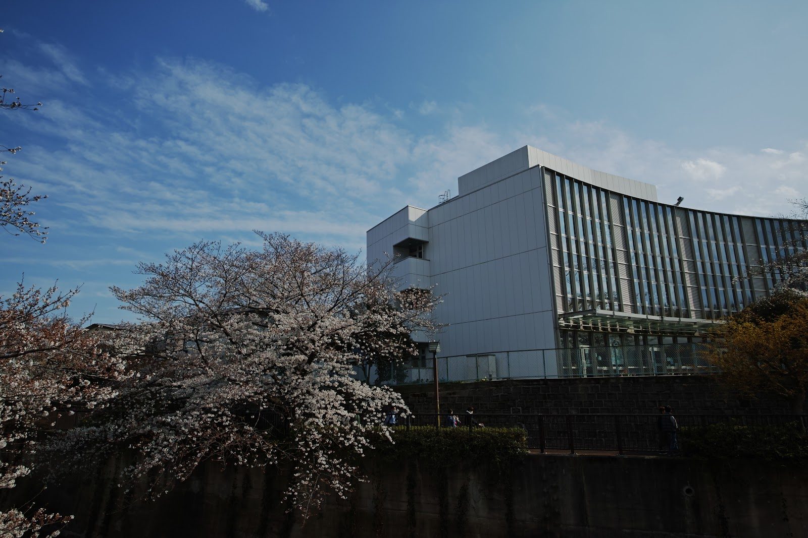 Lycée Français International de Tokyo