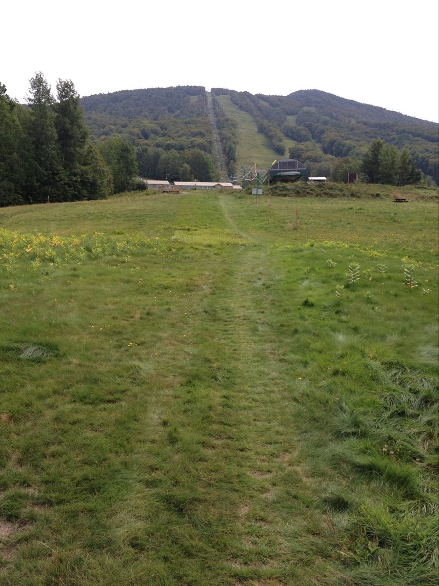 Burke Mountain Academy