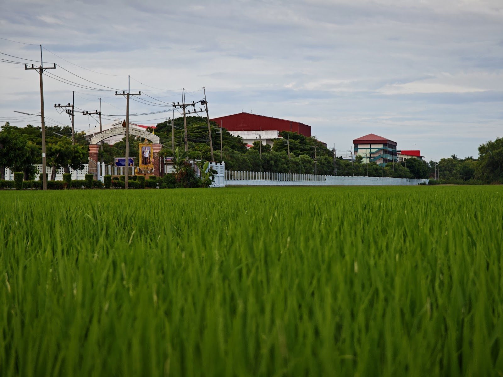 Princess Chulabhorn Science High School Pathum Thani