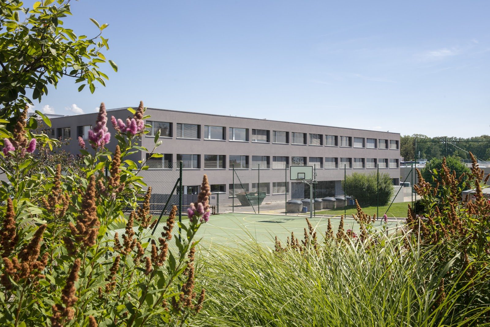 International School of Lausanne